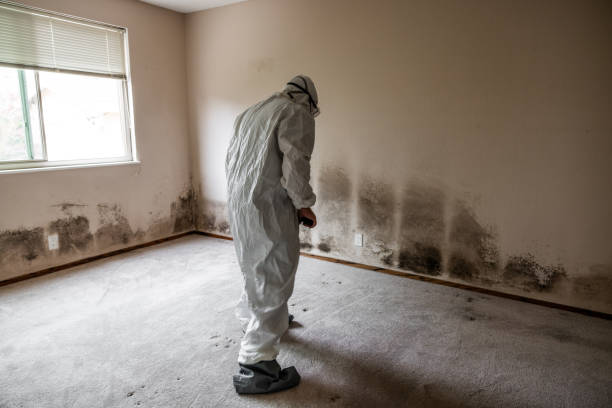 Health and Safety Mold Remediation