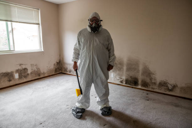 Trusted Doylestown, OH Mold Remediation Experts